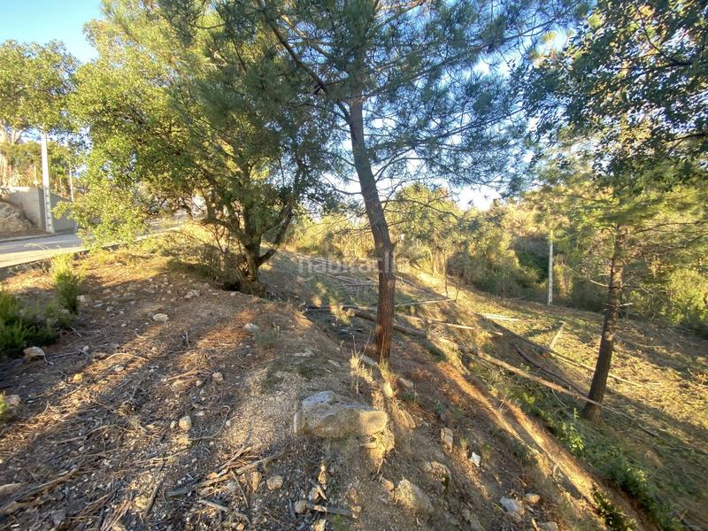 Foto 4424d2c9-2d66-4496-a472-d9ecbd43df9a. Terreno residencial en carrer pi 7 en Riudarenes