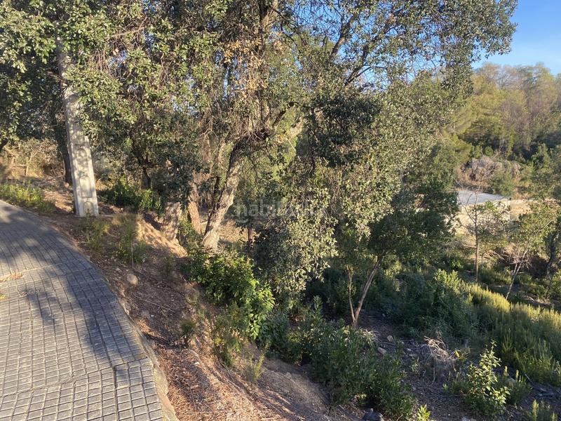 Foto 52e825e4-e517-4269-ad00-babec760aace. Terreno residencial en carrer pi 7 en Riudarenes