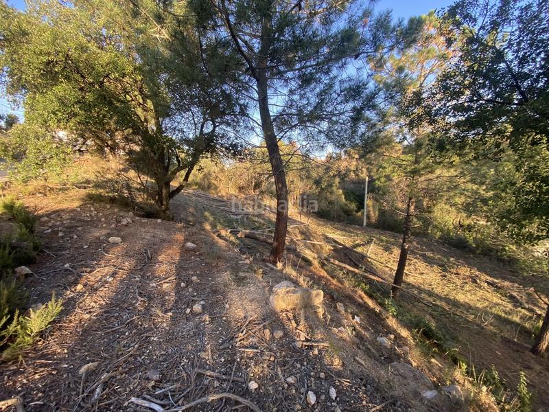 Foto 95baf7bd-3be7-4e1d-b731-eb4aaa3a70b2. Terreno residencial en carrer pi 7 en Riudarenes