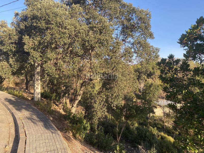 Foto e4f429ba-636e-4b33-b38a-e189aa35eafb. Terreno residencial en carrer pi 7 en Riudarenes