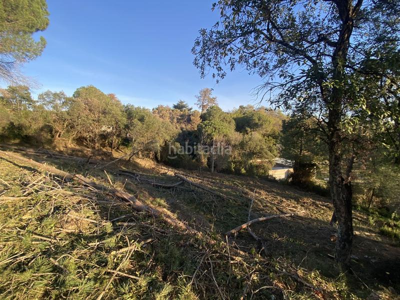 Foto f7e8b566-28f4-4d79-8747-0a5ee7e274db. Terreno residencial en carrer pi 7 en Riudarenes