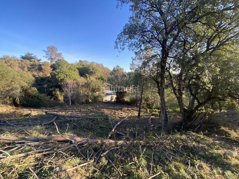 Foto 2553f812-d2c6-46da-9f94-489dc1afef78. Residential plot in carrer pi 7 in Riudarenes