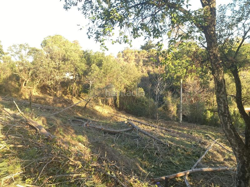 Foto e4380af4-3828-4a7f-a378-02aeafbdfbc3. Residential plot in carrer pi 7 in Riudarenes