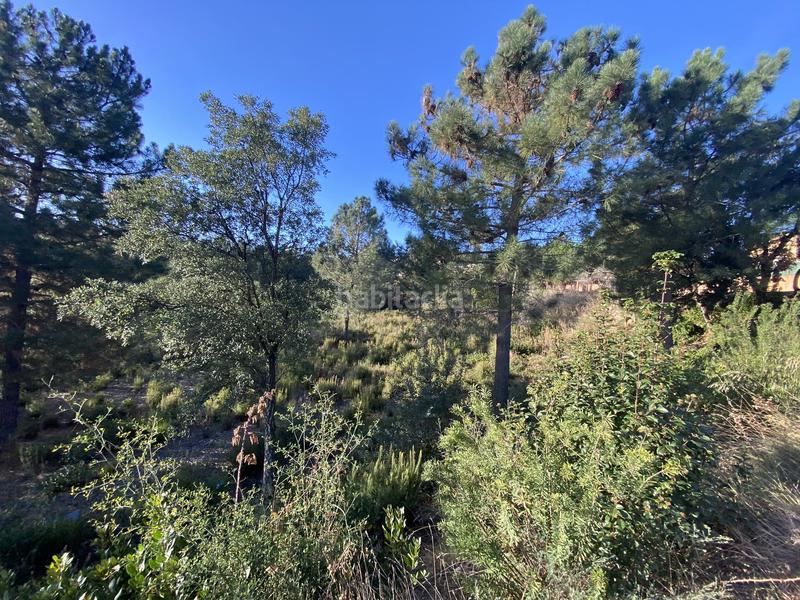 Foto 6186d202-8e65-47c4-b7df-c1a2793dc811. Residential plot in calle perdiu 38 in Riudarenes