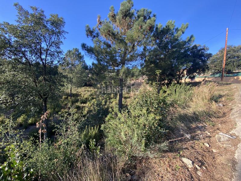 Foto 72fac042-9789-4541-b63c-973ea7ed635c. Residential plot in calle perdiu 38 in Riudarenes