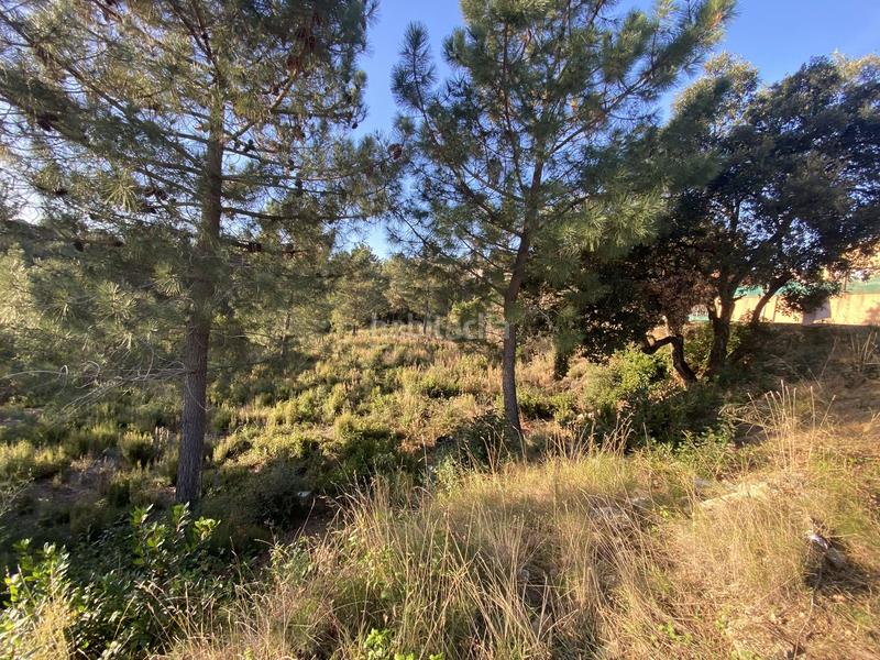 Foto be8d202d-3441-4af7-95a4-b3480a188eb8. Residential plot in calle perdiu 38 in Riudarenes