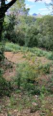 Terreno residencial en Carrer serra de sant feliu 8. Parcela en venta en castellar del vallès