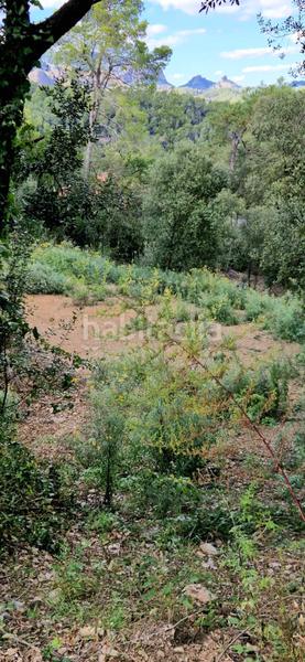 Foto 1345ecc4-61dd-46bc-9fe8-747f53c57241. Wohngrundstück in carrer serra de sant feliu 8 in Castellar del Vallès