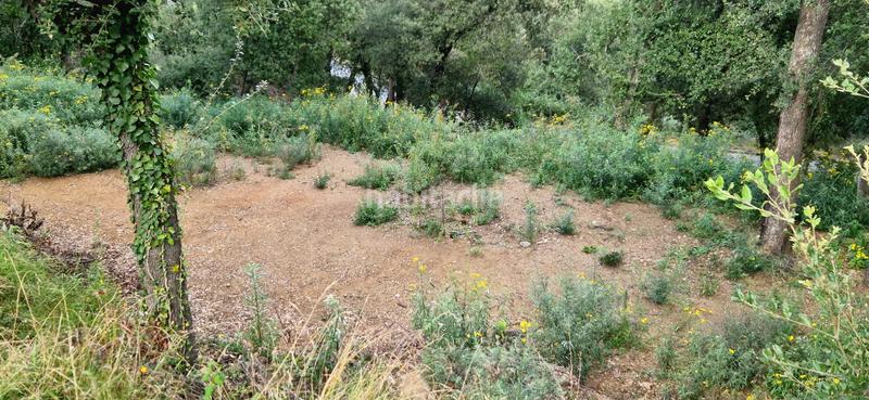 Foto 31f97ccb-5d17-4b85-840d-6f2af20712c3. Wohngrundstück in carrer serra de sant feliu 8 in Castellar del Vallès