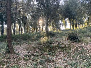 Terrain résidentiel à Carrer del garbí 4. Parcela en venta en can derrocada