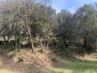 Terreny residencial  Carrer pla dela calma. Parcela en venta en sant pere de vilamajor