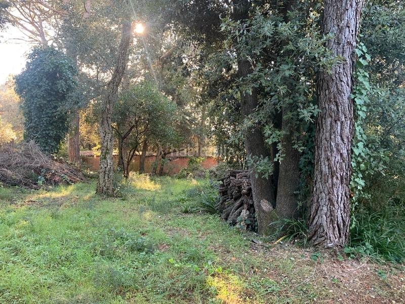 Foto 1c54eb6f-8368-46be-a0f0-1f2c949969be. Terreno residenziale in carrer mediterrani 94 in Sant Pere de Vilamajor
