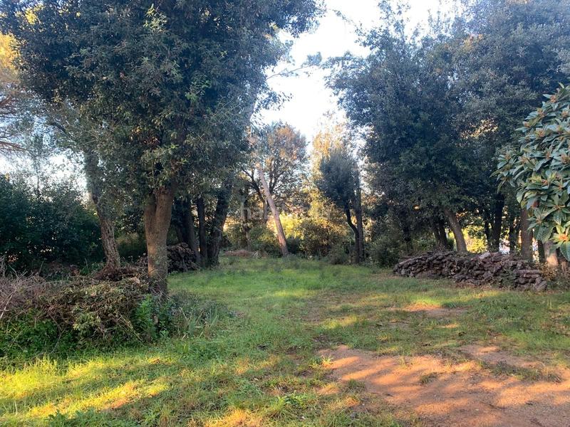 Foto 36e0c9b7-8907-4f77-828a-492b29afd438. Terreno residenziale in carrer mediterrani 94 in Sant Pere de Vilamajor