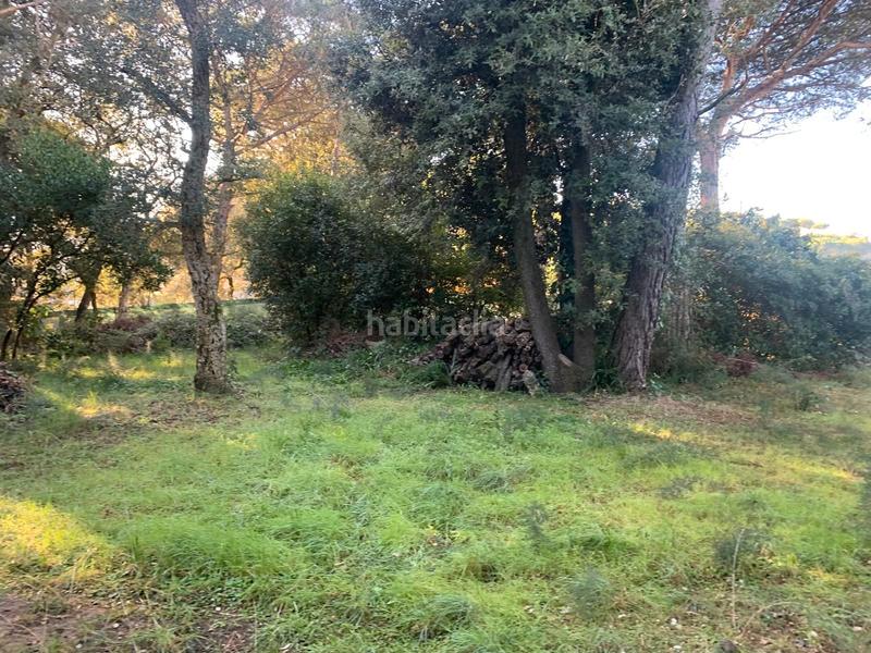 Foto 3bc551c5-6990-4e94-900a-3a3d5eee6b35. Terreno residenziale in carrer mediterrani 94 in Sant Pere de Vilamajor