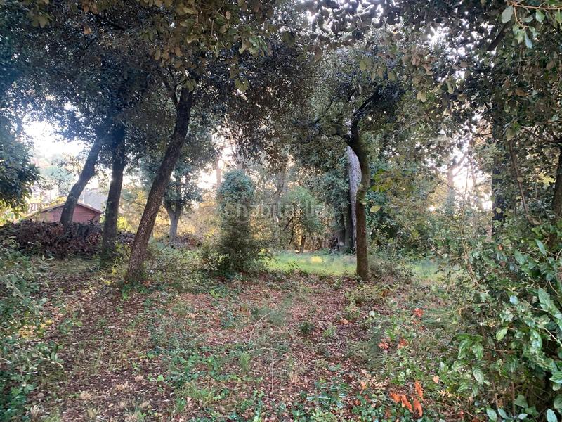 Foto a5ff6182-db6d-45d0-9ace-a2204ef35d3e. Terreno residenziale in carrer mediterrani 94 in Sant Pere de Vilamajor