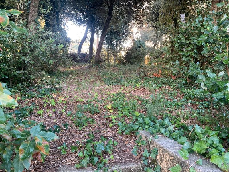 Foto fdd632b6-bce1-488e-85c6-ea8414c65737. Terreno residenziale in carrer mediterrani 94 in Sant Pere de Vilamajor