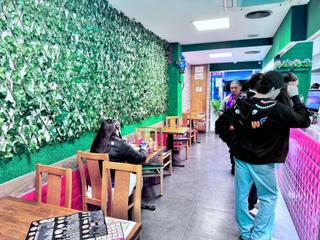 Trapasso Locale commerciale in L´Antiga Esquerra de l´Eixample. Zona esquerra exiample restaurante traspaso c3 mixto precio 230.