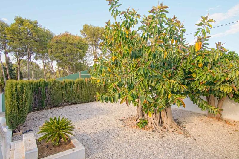 Foto b23f57cf-22b8-4d23-b81d-942564643347. Chalet mit heizung parking pool in Las Rotas / Les Rotes Dénia