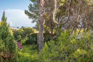 Residential Plot in Cap Martí - El Tossalet - Pinomar