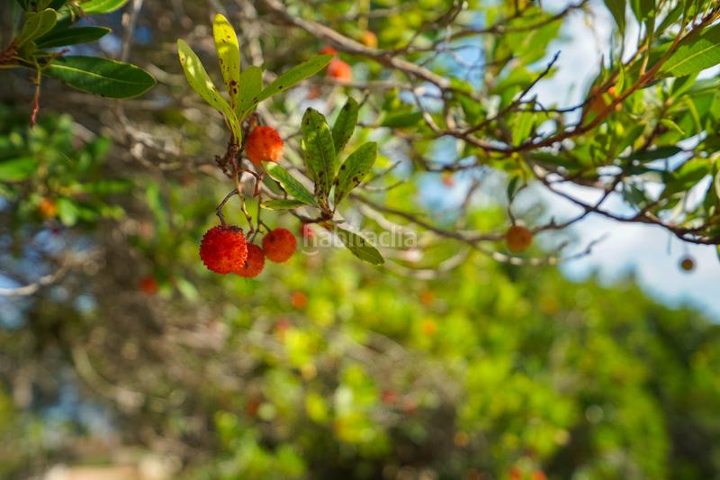 Foto bc82fea8-a0e6-46d1-9d84-2691c902c1f3. Chalet mit heizung in Partida Comunes-Adsubia Xàbia