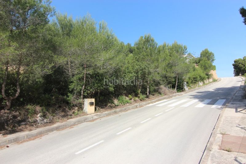 Foto 5185d163-7dd2-48b1-99de-5de88ee17ff8. Finca rústica a Centro Ciudad Xàbia