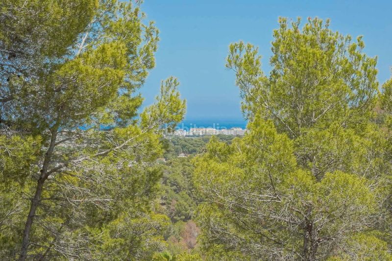 Foto a95a6952-4aba-4605-ab4e-e63342038af6. Finca rústica a Centro Ciudad Xàbia