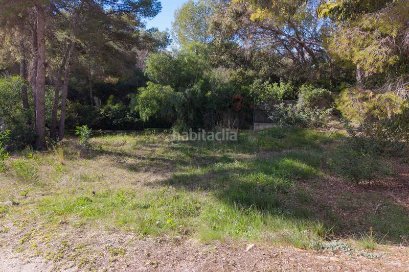 Foto b1f00d34-5f93-4fba-b8ff-58a2a5f1ae95. Finca rústica a Casco Urbano Moraira