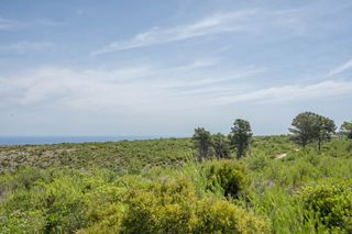 Rural plot in Centro Ciudad. Terreno rural con vistas al mar en jávea, cerca del montgó