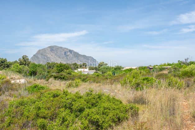 Foto ce455ab1-5ac0-4042-ac66-661403d7a400. Finca rústica a Centro Ciudad Xàbia
