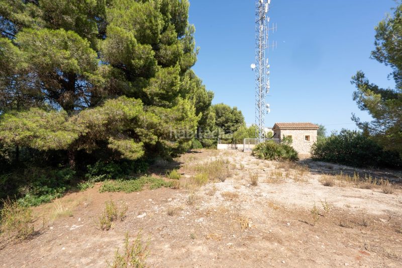 Foto c8668f79-a50b-4394-8068-44914ea401da. Finca rústica a Centro Ciudad Xàbia