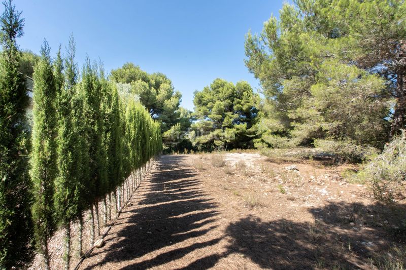 Foto f25d2426-da31-4500-b0ac-b69b5c486dea. Finca rústica a Centro Ciudad Xàbia