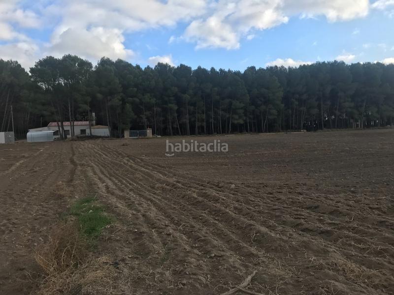 Foto 19162bd2-182a-4932-aada-f4eb1d33b24b. Terreno residenziale in Las Virtudes Villena