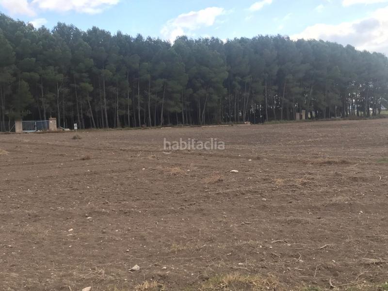 Foto 25edbec1-9f82-404f-a33f-88fb31e422cf. Terreno residenziale in Las Virtudes Villena
