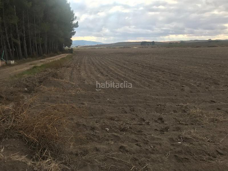 Foto 2f700a63-27bf-411d-a1a9-d22d5115327d. Terreno residenziale in Las Virtudes Villena