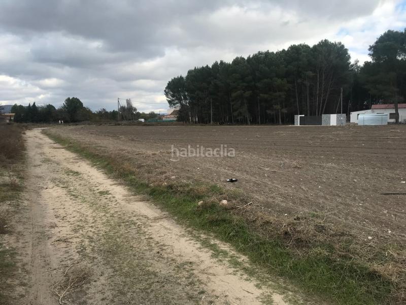 Foto 320c48f4-ef31-460e-946e-e6cba39cb37a. Terreno residenziale in Las Virtudes Villena