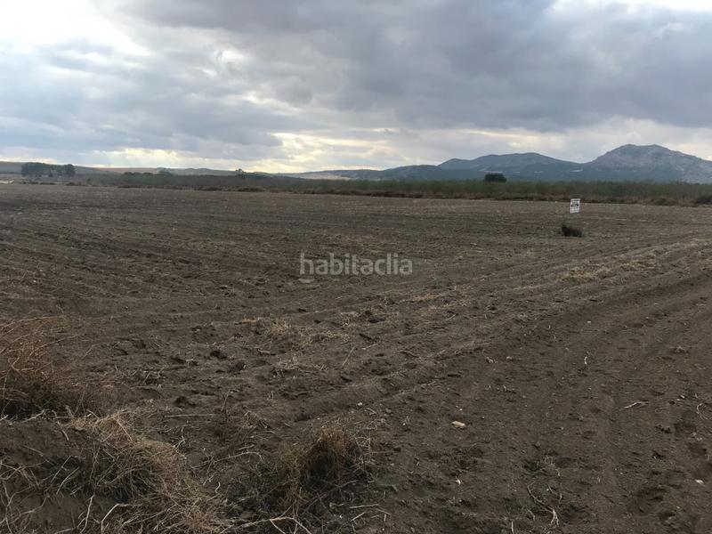 Foto 3e1df440-7fcf-478e-a757-33c7a234b3f5. Terreno residenziale in Las Virtudes Villena
