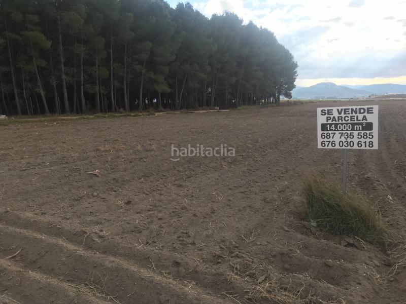 Foto 42d285e9-86e6-4b6d-9dfd-ebf5cc6df8be. Terreno residenziale in Las Virtudes Villena