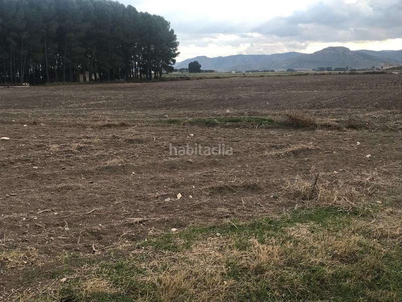 Foto 4a84c762-5f57-4d23-bae3-0fa102ded2cf. Terreno residenziale in Las Virtudes Villena