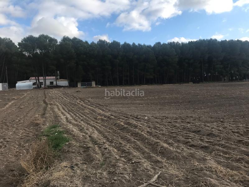 Foto 50b3b430-3f26-4c1a-9169-70960da959f3. Terreno residenziale in Las Virtudes Villena