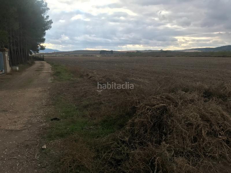 Foto 73dc97e8-c879-4729-aecd-40324e52eda2. Terreno residenziale in Las Virtudes Villena