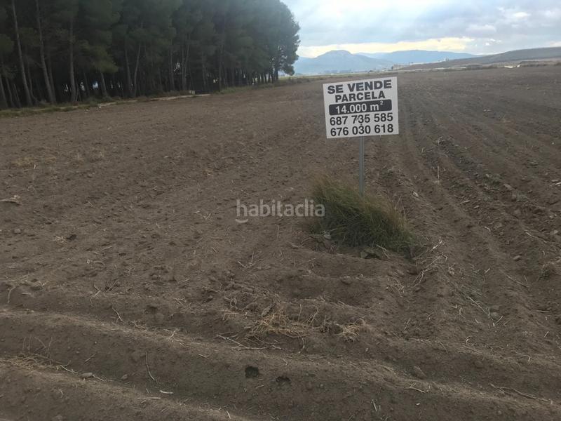 Foto 9a6dc15e-793e-49fa-94da-1c47f06be608. Terreno residenziale in Las Virtudes Villena