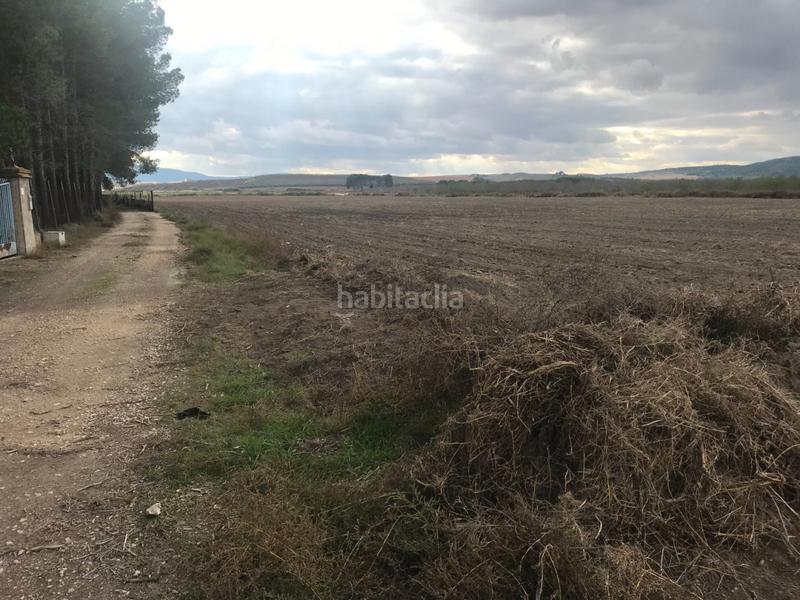 Foto a4b7d9c4-c981-4960-85b4-34ff621dd1cc. Terreno residenziale in Las Virtudes Villena