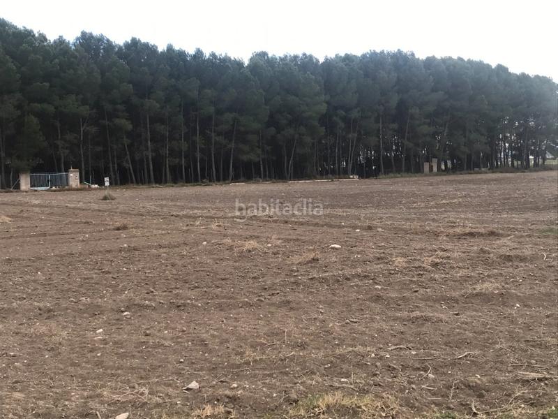 Foto bd47ffb9-efda-4f4d-be43-640e9af7d4f6. Terreno residenziale in Las Virtudes Villena