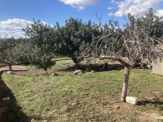 Terreny residencial en Torrent - cl primat reig 32. Amplia parcela para construir vivienda independiente en el vedat