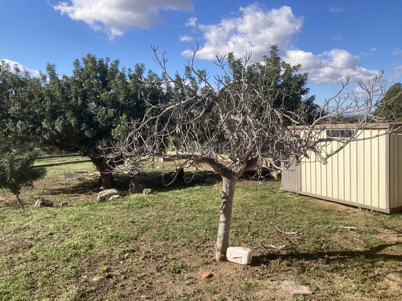 Foto f4973d96-96b3-4186-9c7a-dc9c5cf5076b. Wohngrundstück in Torrent - cl primat reig 32 in El Vedat - Santa Apolonia Torrent