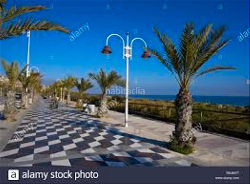 Foto c727a5c6-8e29-4bad-9c1a-df6b83c05da7. Residential plot in Valverde Elche / Elx