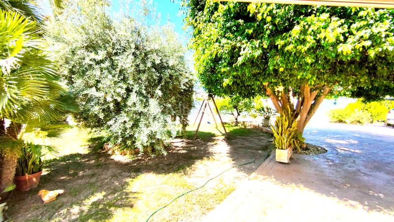 Foto e09aac15-9368-4b58-aa42-8ed300ffa888. Xalet amb xemeneia calefacció aparcament piscina a Elche / Elx