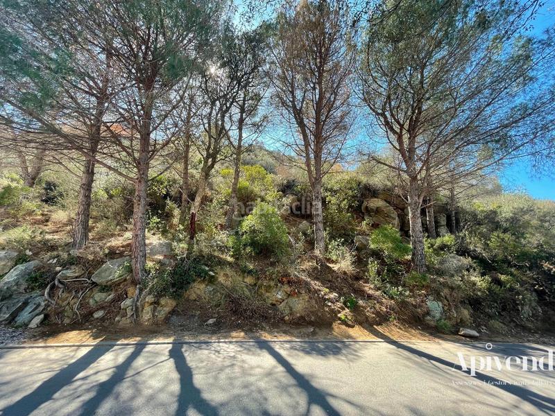 Foto 59455ef7-3da9-4d81-a1d9-0092a67620e3. Fondo rustico in Puig Rom-Canyelles-Almadrava Roses