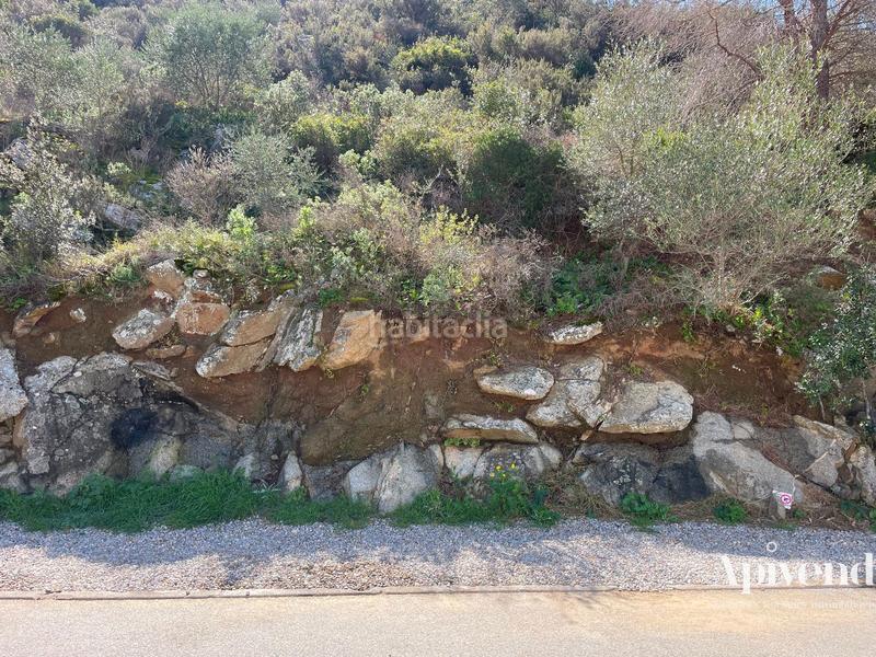 Foto c633815f-28b3-471c-94b5-e70d3c913ddc. Fondo rustico in Puig Rom-Canyelles-Almadrava Roses