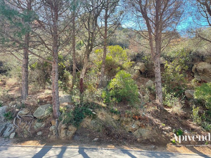 Foto 7f7f3e64-5386-42d3-938b-4b2215e3706b. Propriété dans Puig Rom-Canyelles-Almadrava Roses